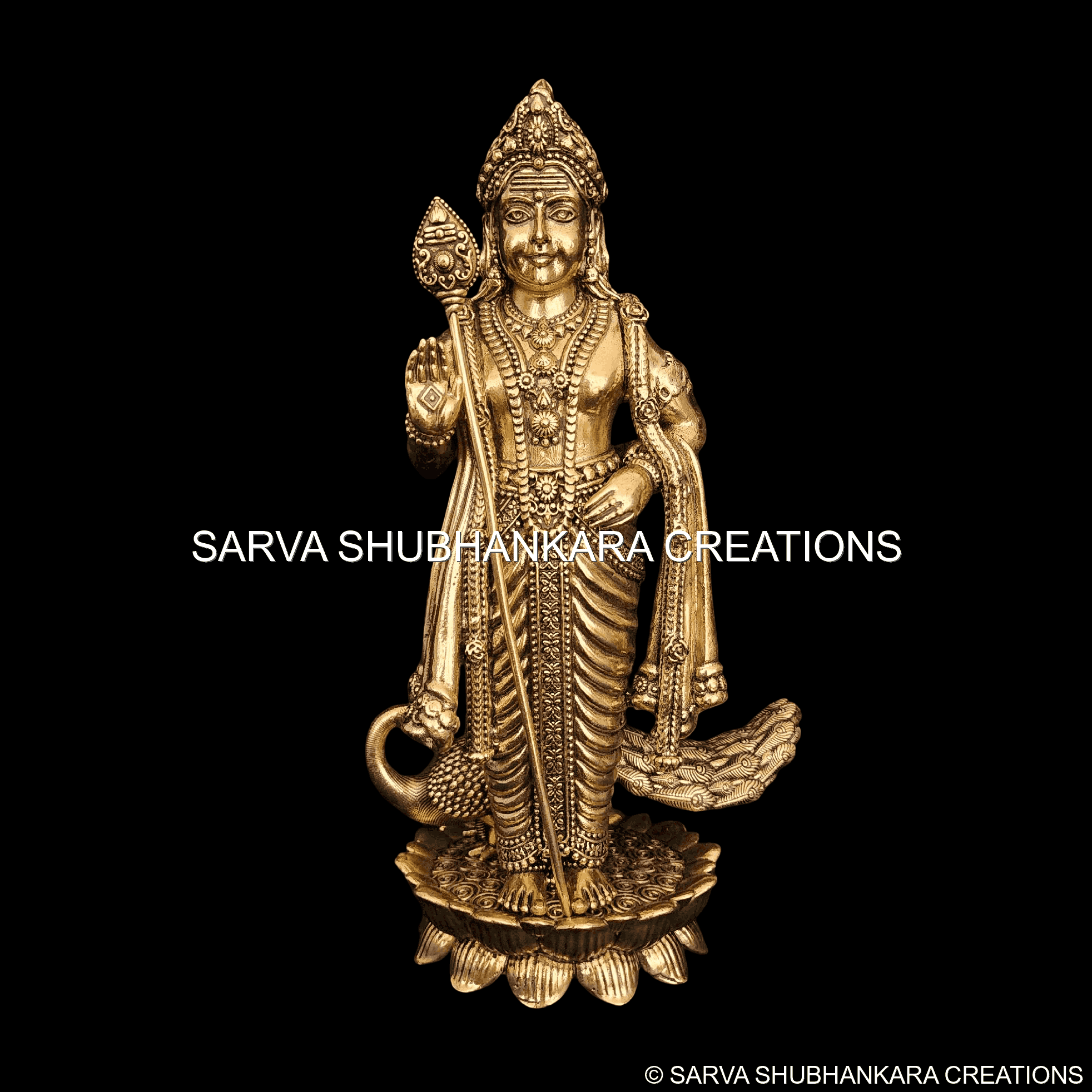 Murugan Swamy on Small Lotus