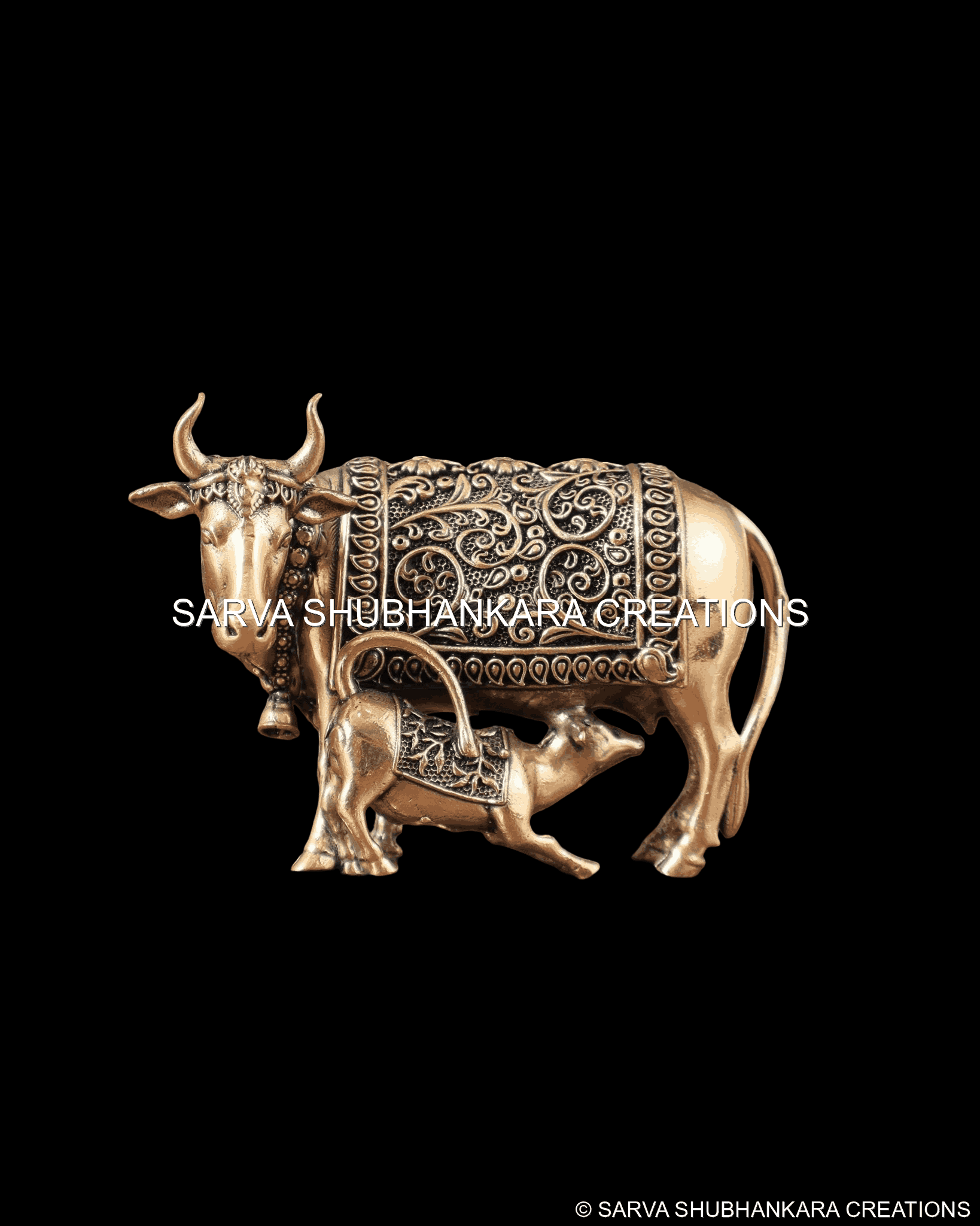 Sacred Cow Calf Blessing Bond